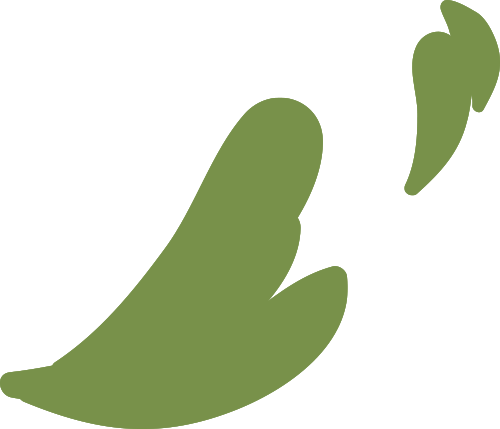 2024年香港资料免费大全,详细数据解读_家庭影院版50.205