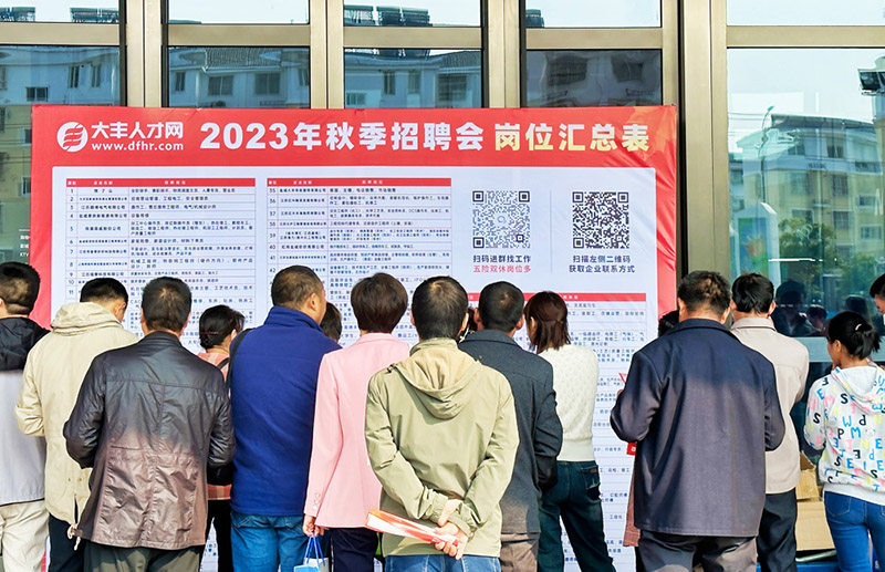 大丰人才网最新招聘信息网——小巷中的隐藏宝藏