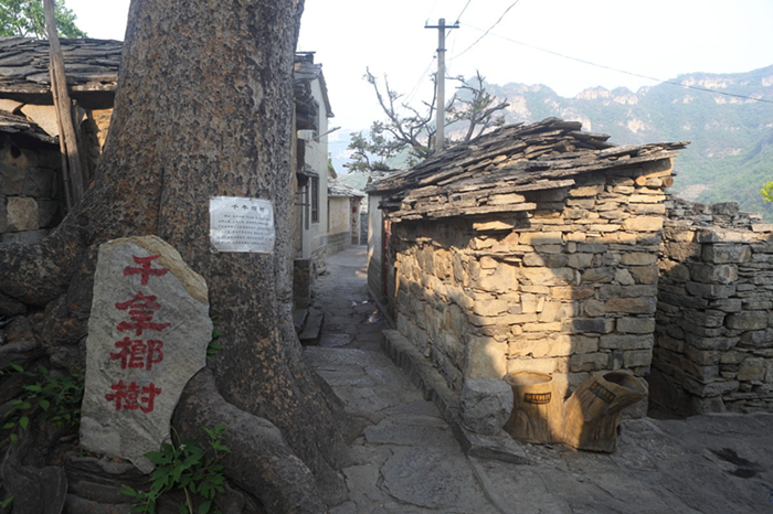 岳各庄棚户区最新消息,小巷深处的惊喜探索