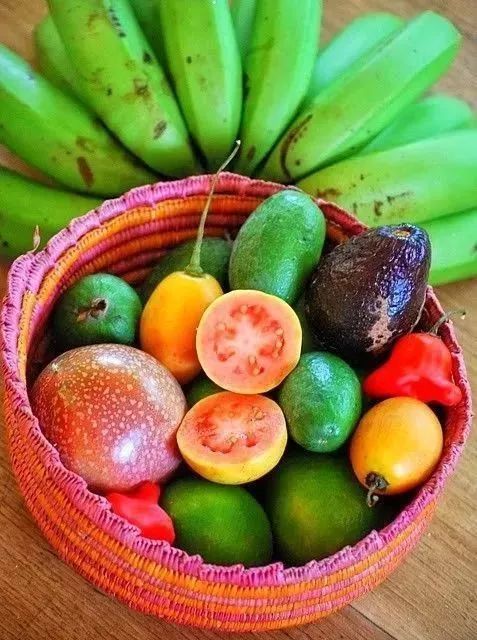 新澳门一码一肖一特一中水果爷爷,快速解答方案实践_明星版34.989