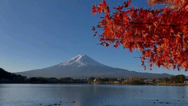 2024年日本萨德之旅,追寻自然美景,寻找内心的宁静