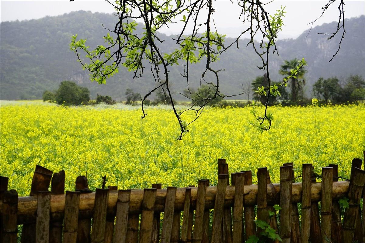 关注公众号看最新电视剧,详细步骤指南