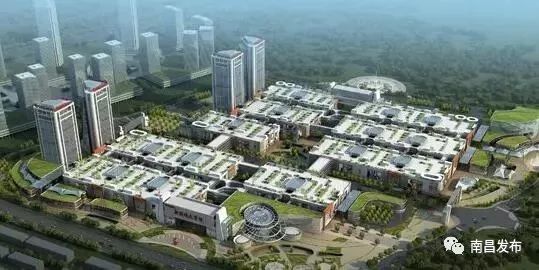 新洪城大市场最新消息,变化中的机遇与自我超越的旅程