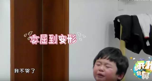 于小彤与海陆,自然美景中的最新足迹与心灵之旅