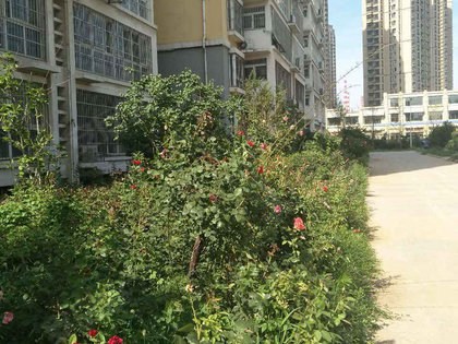 高淳区最新二手房卖买,科技重塑居住新体验