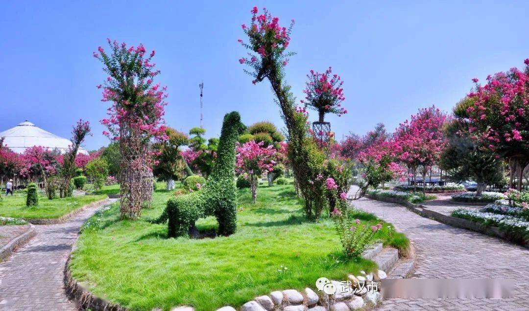 2024年新澳历史开奖记录,动态解读分析_高级版68.961