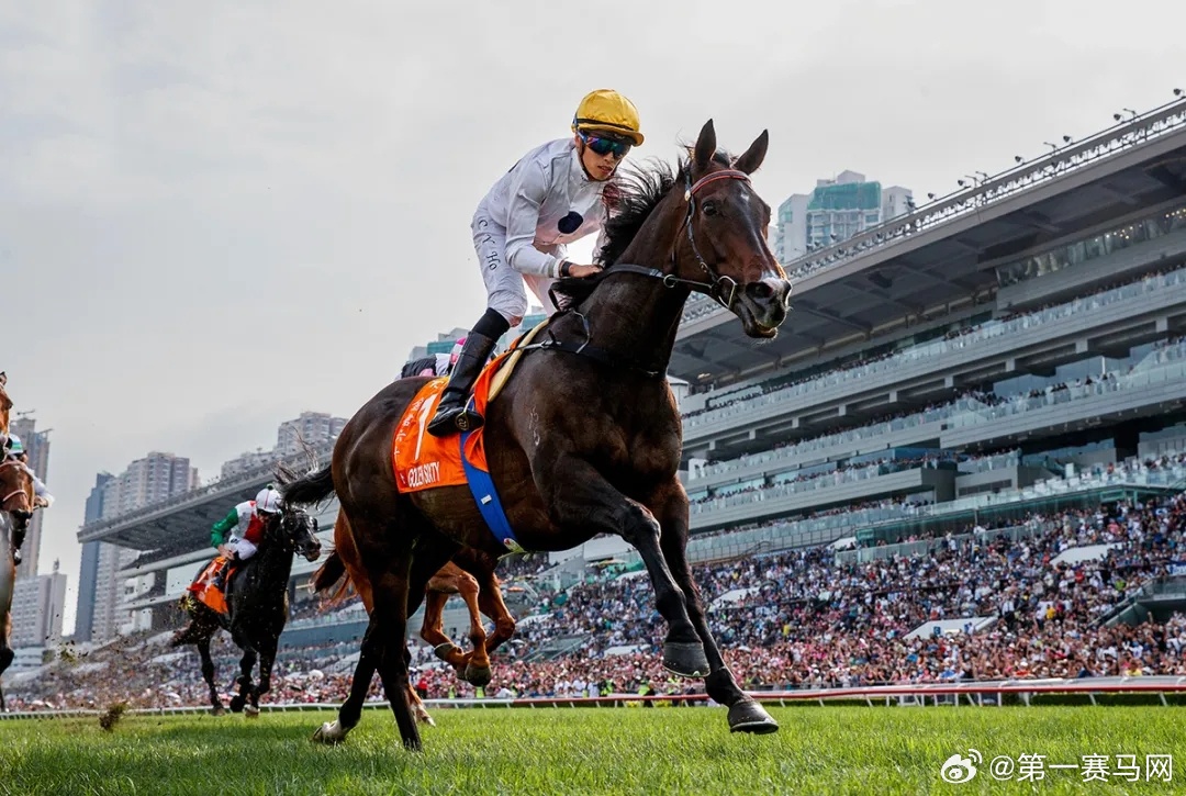 2024香港赛马全年免费资料,快速问题解答_私人版77.333