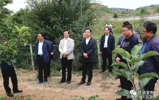 庄浪县朱店镇最新消息,时代的脉搏与地方的奋进