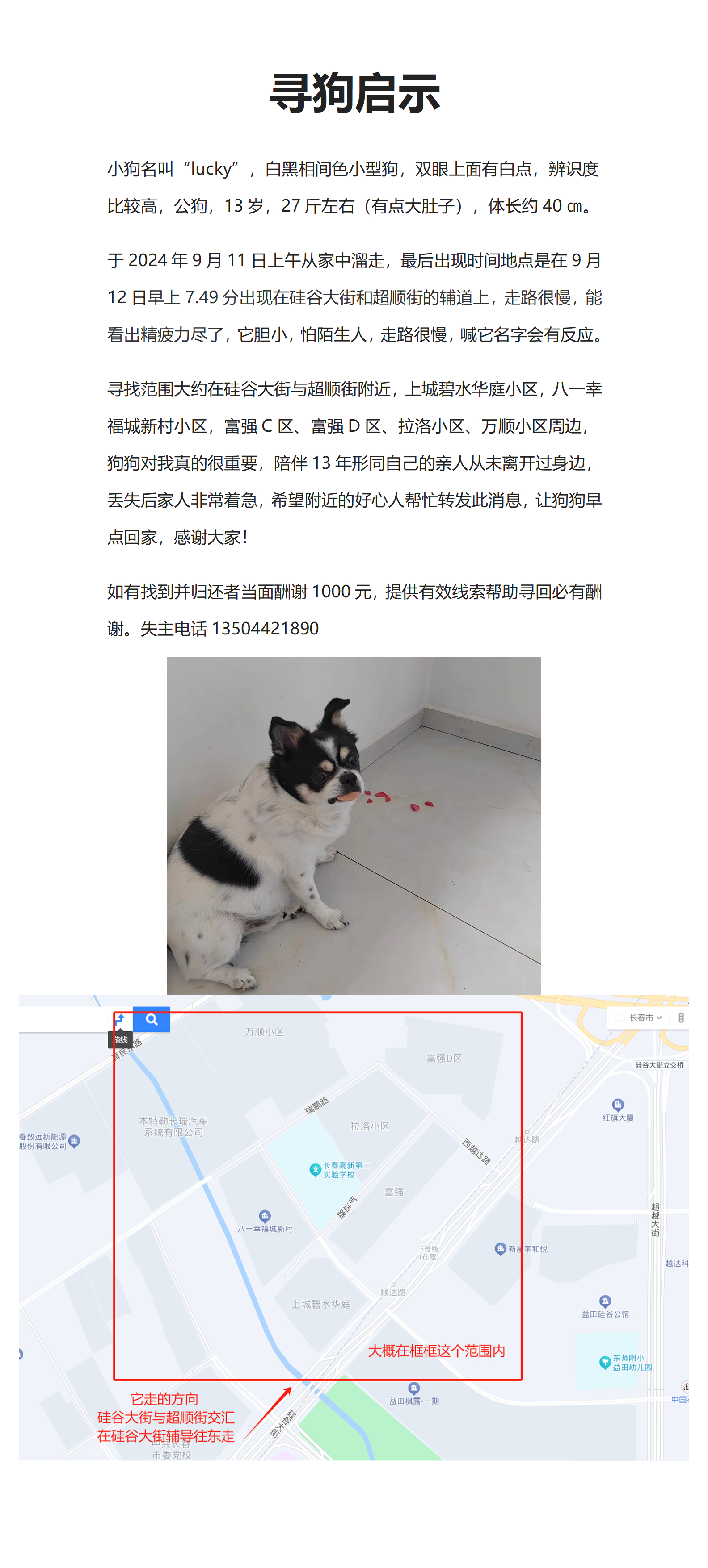 7777788888精准跑狗图,数据引导设计方法_内容版91.150