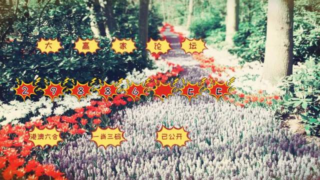 一肖一码一必中一肖,即时解答解析分析_经典版81.722