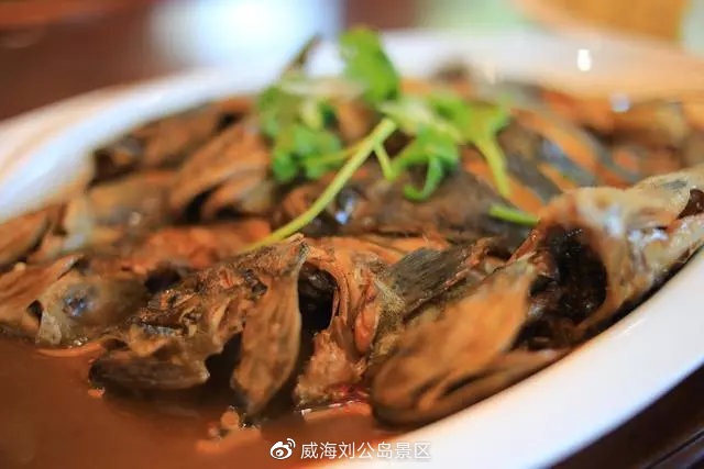 🐟鱼莽子最新!带你探索最新潮流与美食🍲