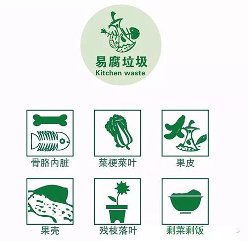 垃圾分类标志最新,小绿的奇妙探险之旅