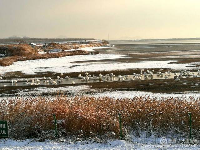 印尼肺炎最新通报,一场自然美景的探索之旅,寻找内心的平和与宁静