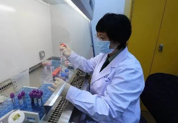 最新非洲疫苗消息,非洲疫苗研发与接种的进展与挑战