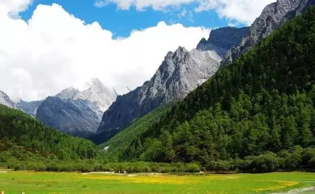 疏疏最新视频,探索自然美景的旅行,寻找内心的平和宁静