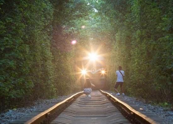 广州回南京最新,回家的温馨旅程