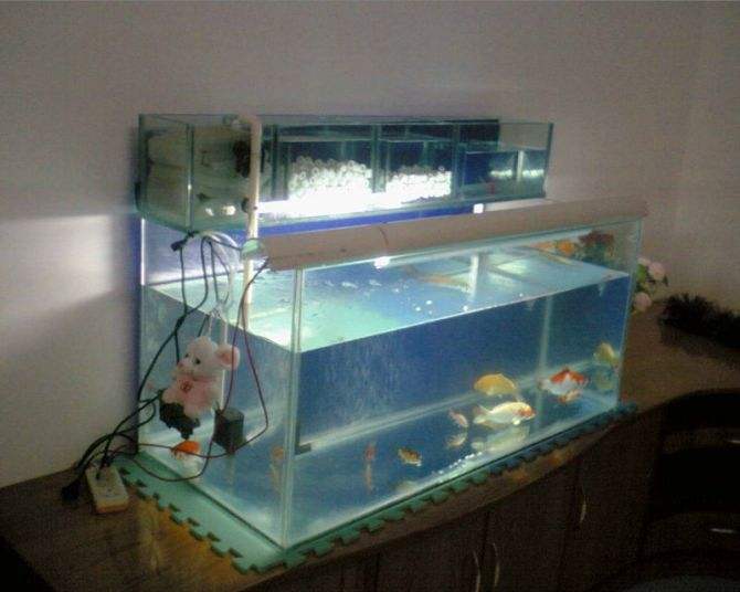 最新上滤鱼缸安装与使用指南