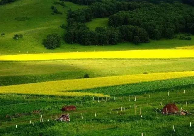 草留最新地,一场与自然美景的邂逅,寻找内心的平和与喜悦