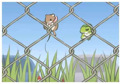 粘纤最新价格——一场与友共度的温馨探秘之旅