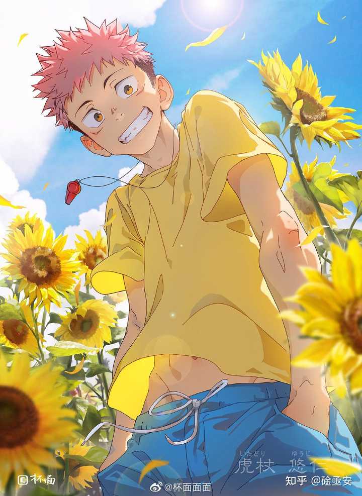 虎杖悠仁最新,探索自然美景的轻松之旅