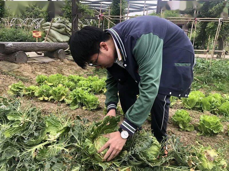 2024最新日剧,日常温馨小事,友情与爱共舞