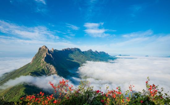 灵山招聘资讯,启程,探索自然美景的旅行,寻找内心的平和与宁静