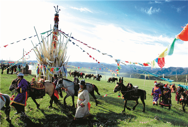 最新信息发展动态,探索自然美景的治愈旅行