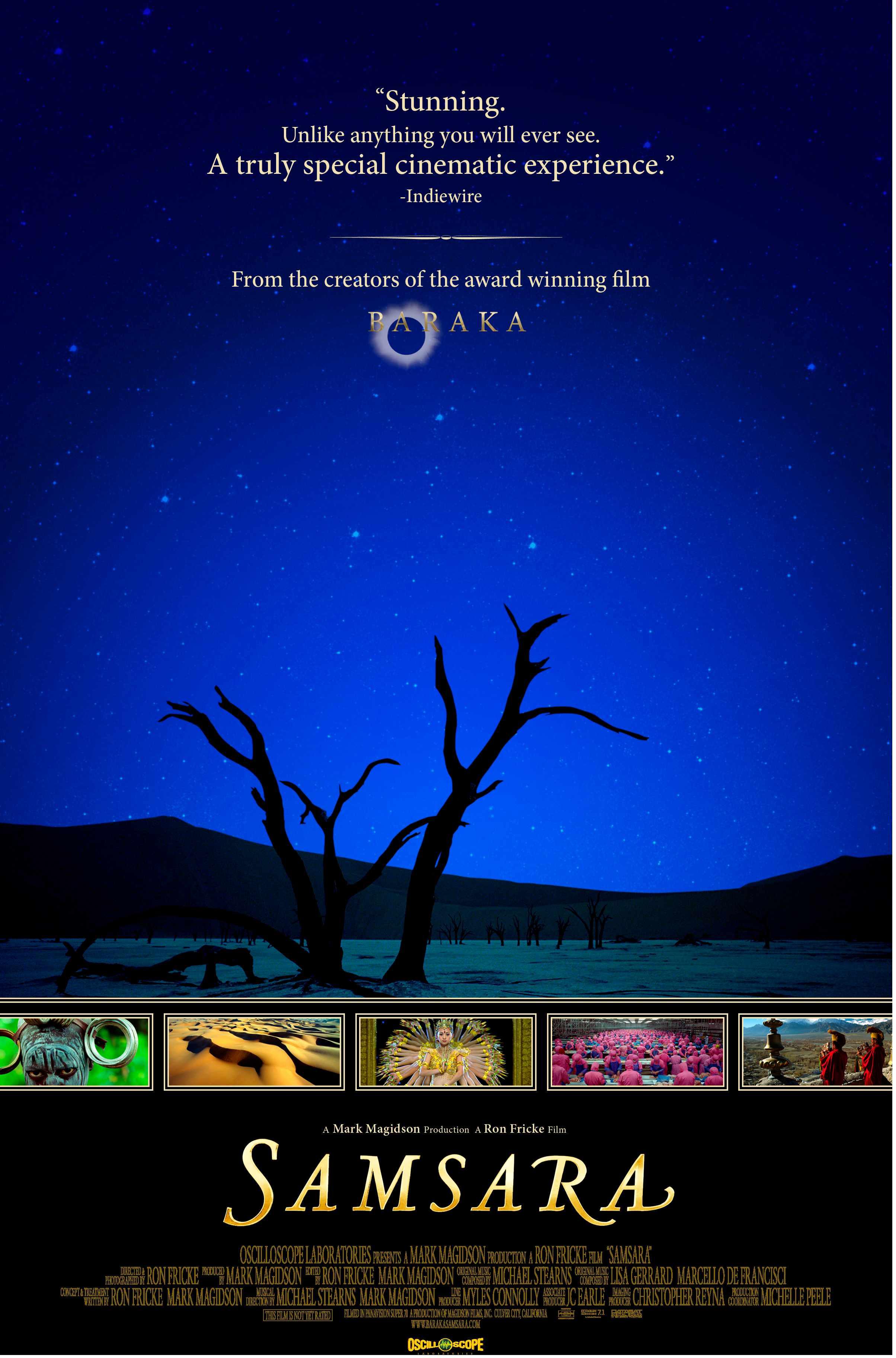 探索未知秘境,8x最新地址,一场寻找内心平静的奇妙之旅