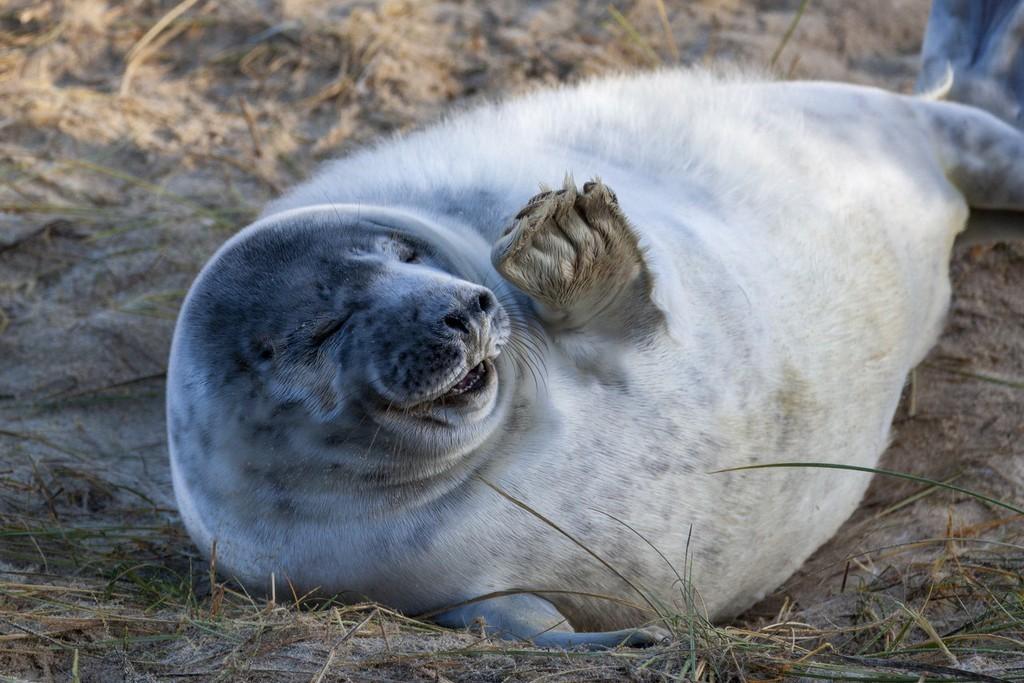 最新打招呼方式,科技革新,让问候更前卫
