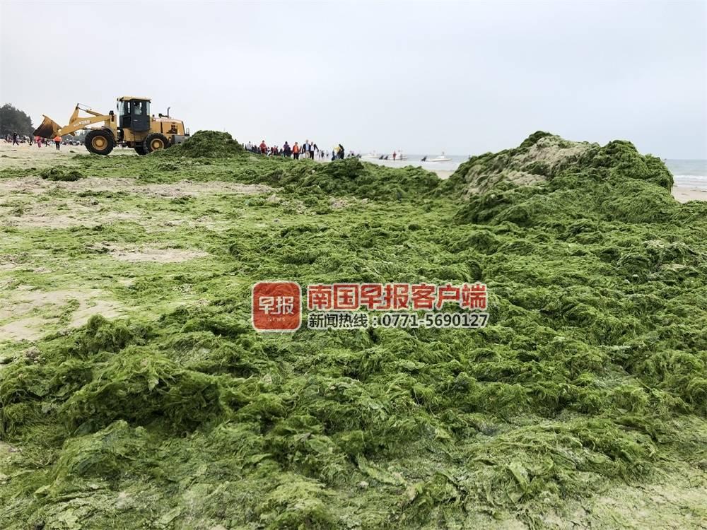 广西北海最新新闻,城市发展的多维度探析与观点碰撞