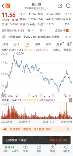 新开源股票最新消息,风起云涌的股市风云中的一颗璀璨之星