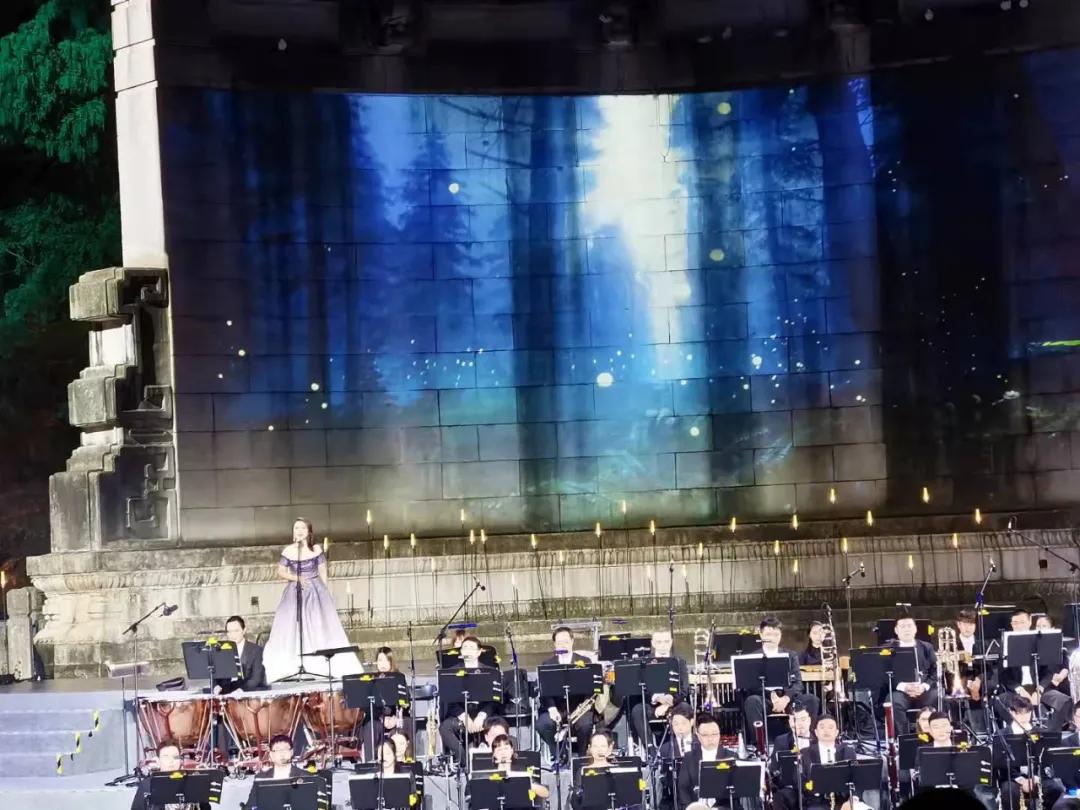 电视剧白鸽的温馨日常