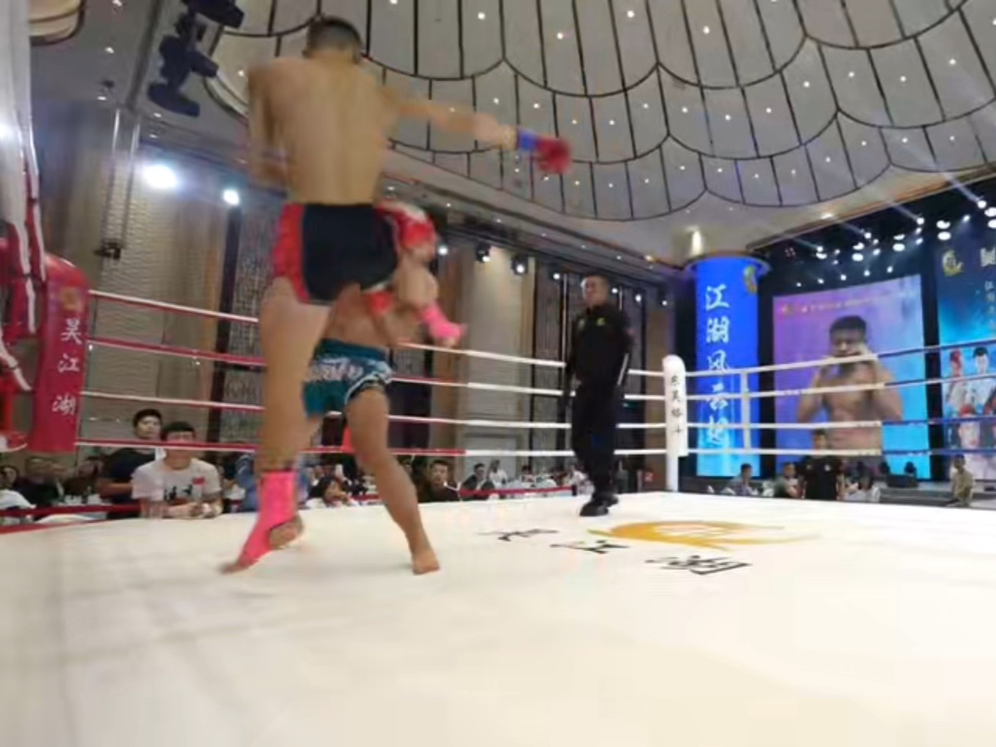 自由搏击比赛视频,力与技的较量