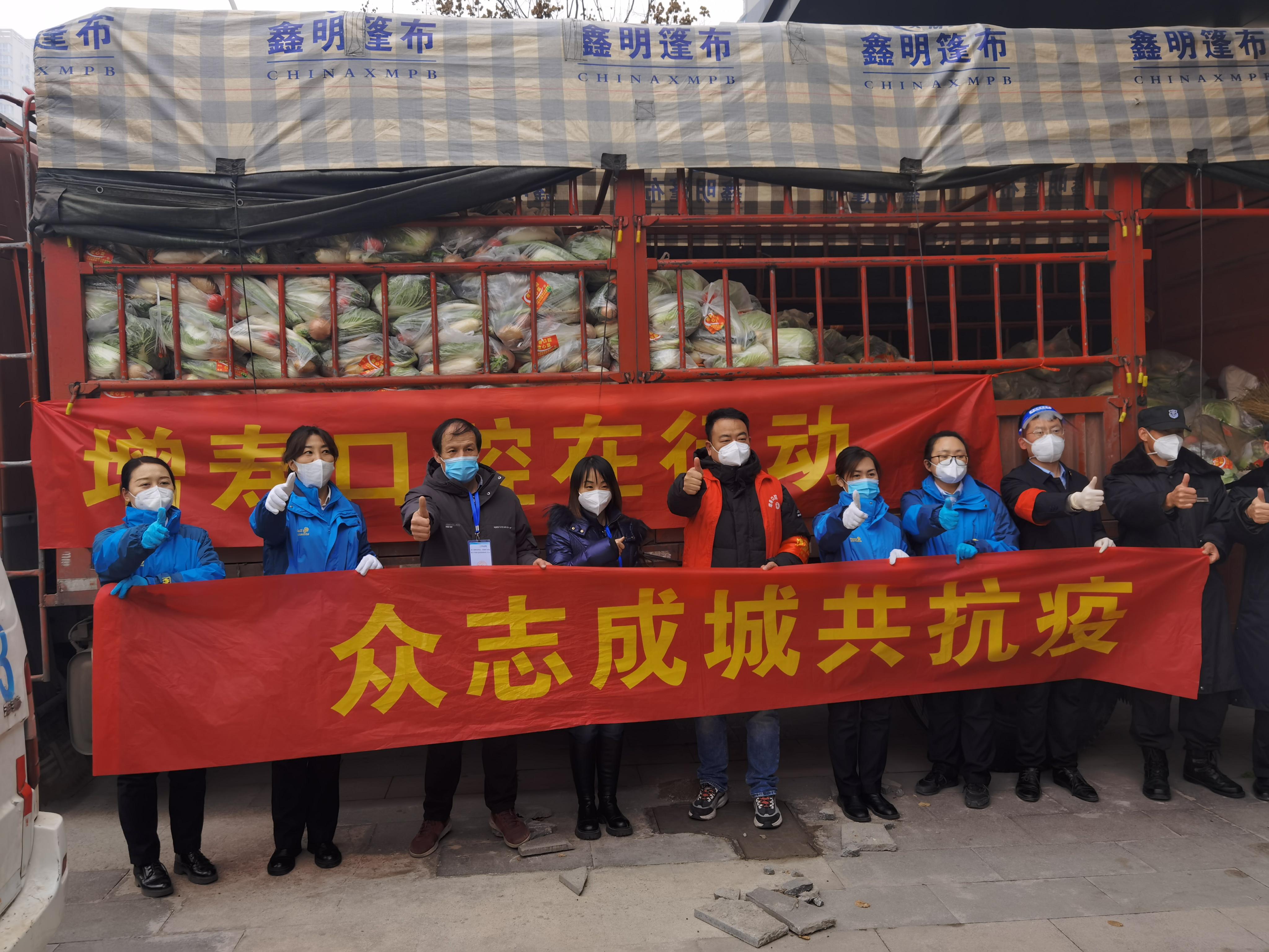 西安芹菜价格动态,市场走势与影响因素探讨