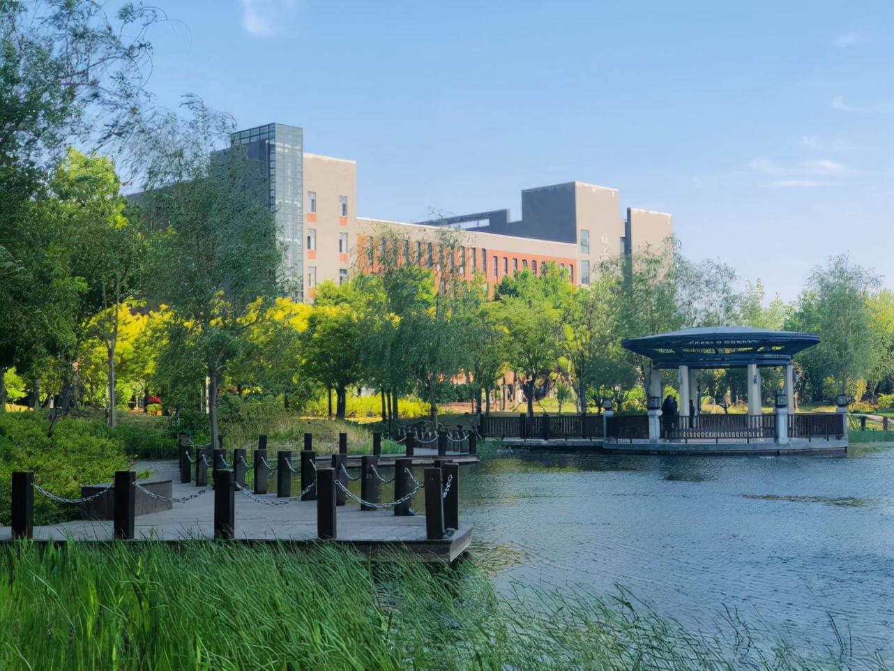 最新财经资讯博客,小巷深处的独特小店探秘