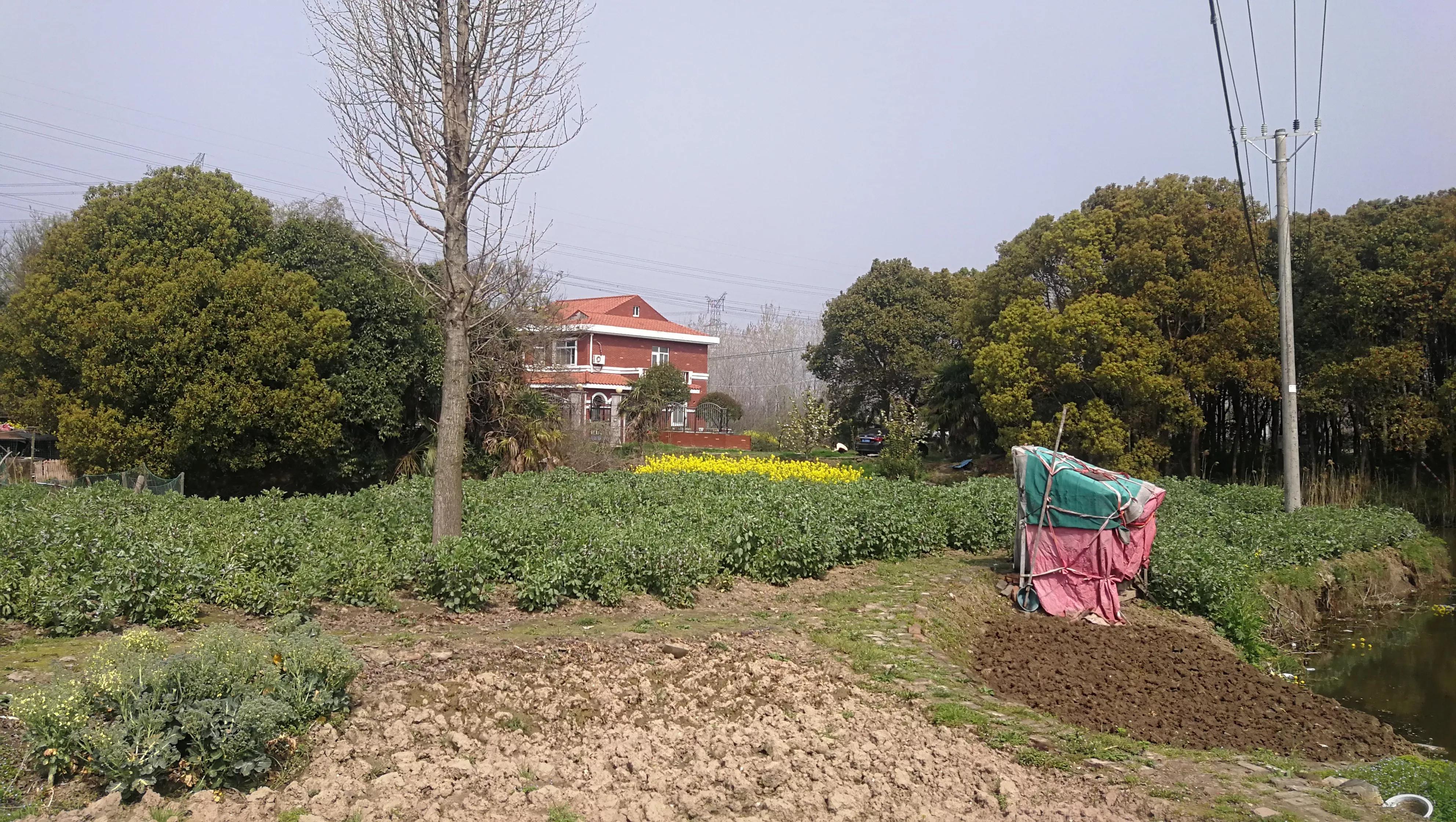 张家港塘桥最新规划发布,一场拥抱自然美景的旅行邀请