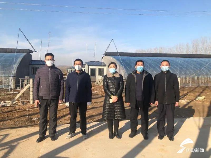 桓台县楼二村最新动态,观点阐述与分析