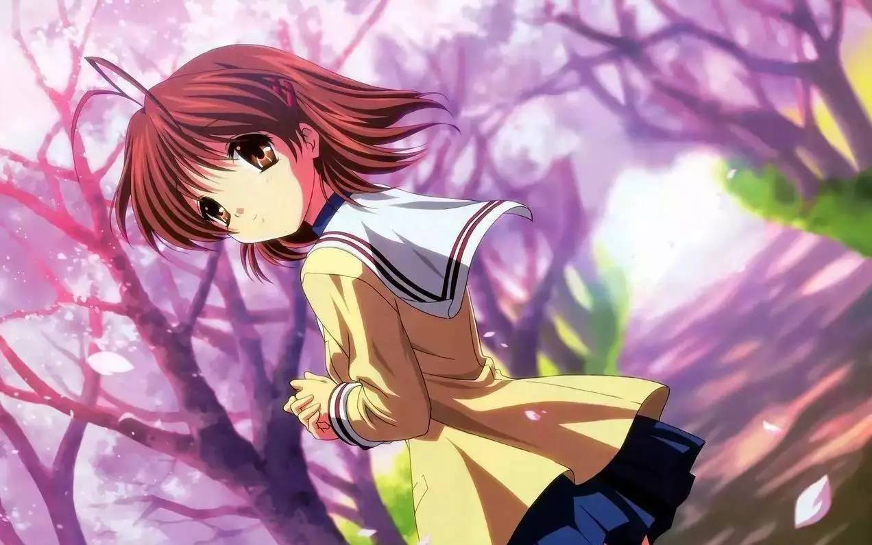 邪恶动漫视频,一场自然美景的心灵之旅,启程寻找内心的平和与宁静