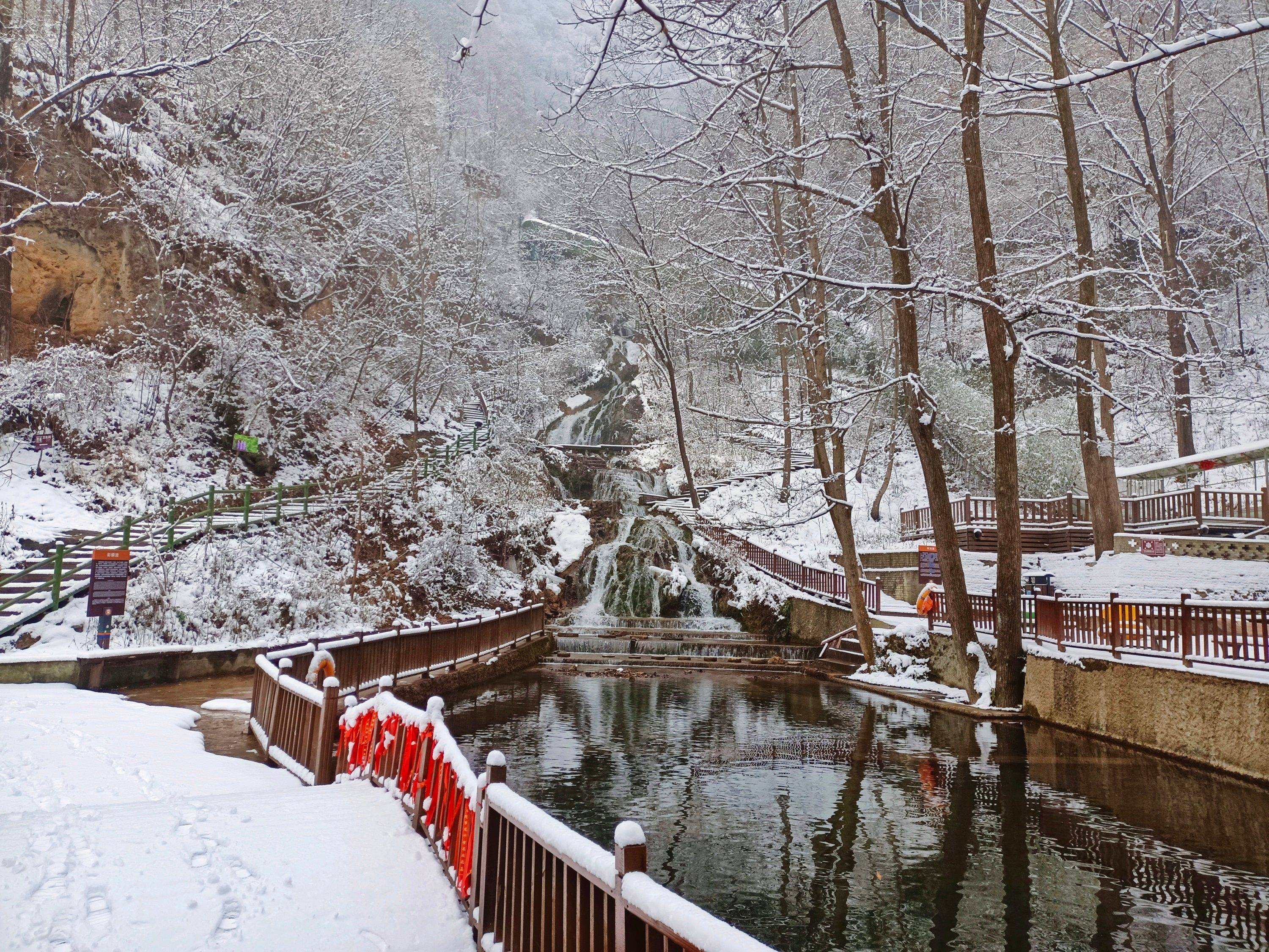最新疫情动态下的自然美景之旅,寻找内心的平和与宁静