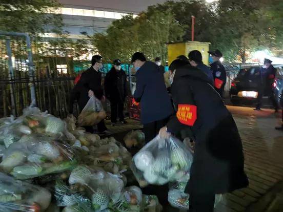 淅川最新疫情,时代背景下的抗疫纪实