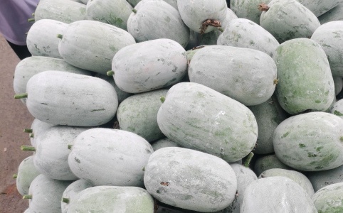 今日冬瓜价格最新行情,小巷深处的冬瓜特色小店探秘