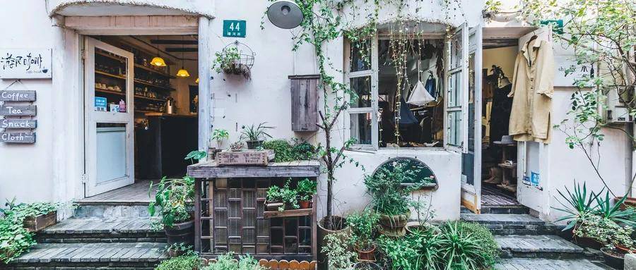 酒店新动态,巷弄深处的独特风情——探索隐藏在小巷中的特色小店
