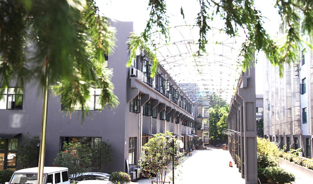 金蝶最新升级版,软件升级的价值与影响