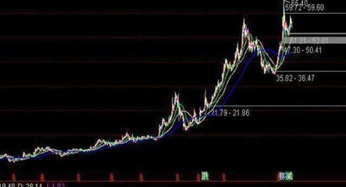 🌟星云股份股票行情,深度解析与前景展望