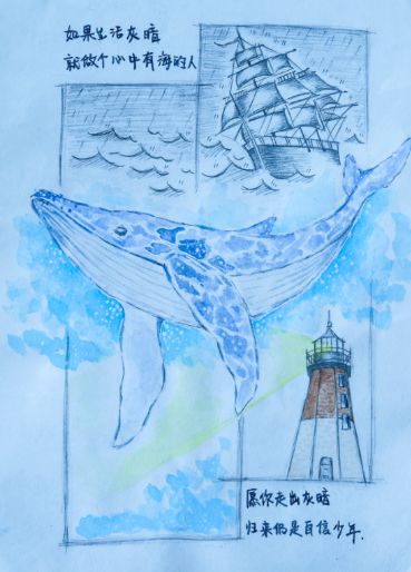 漫画比赛,一场自然美景的心灵之旅