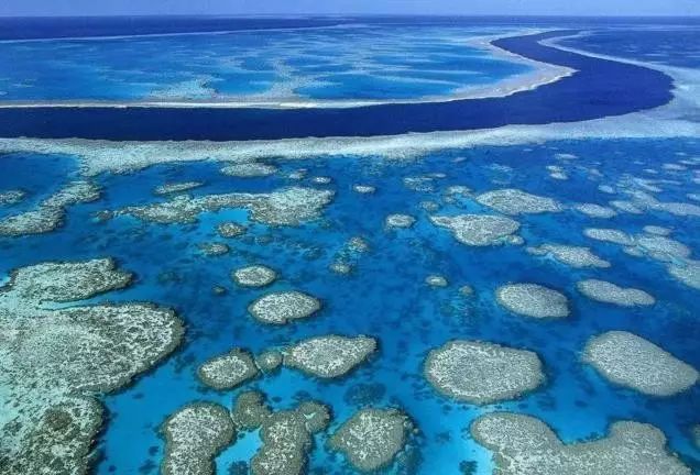 拳霸新摇杆,一场自然美景的心灵之旅