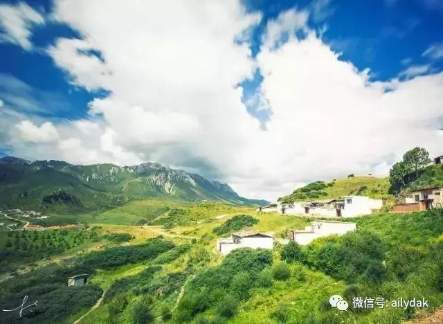 反转演员表,一场自然美景的心灵之旅