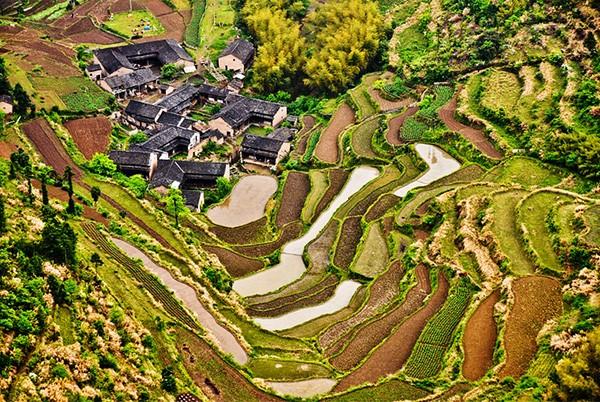 风林火山电影,一场与自然美景的旅行邂逅,寻找内心的宁静与平和