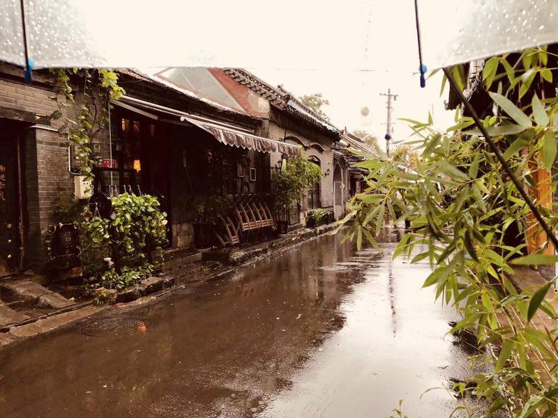 微北洋新版,小巷深处的惊喜