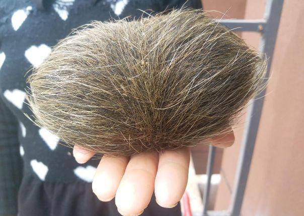 狗宝价格多少一克,历史背景、重要事件与地位